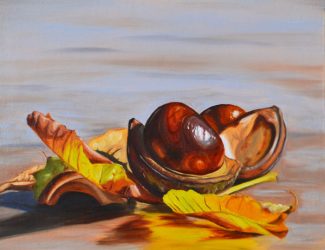 Two Conkers And Leaves